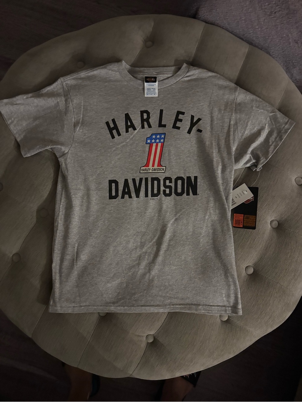 Harley-Davidson Boys Gray Logo T-Shirt